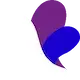 Incogniton