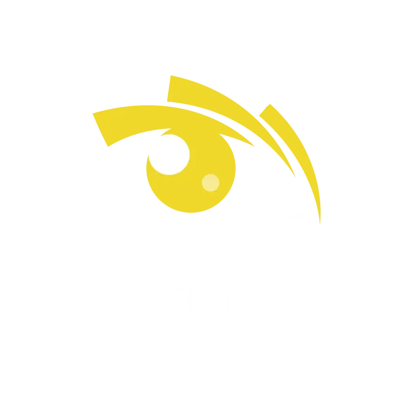 SpyOver proxies